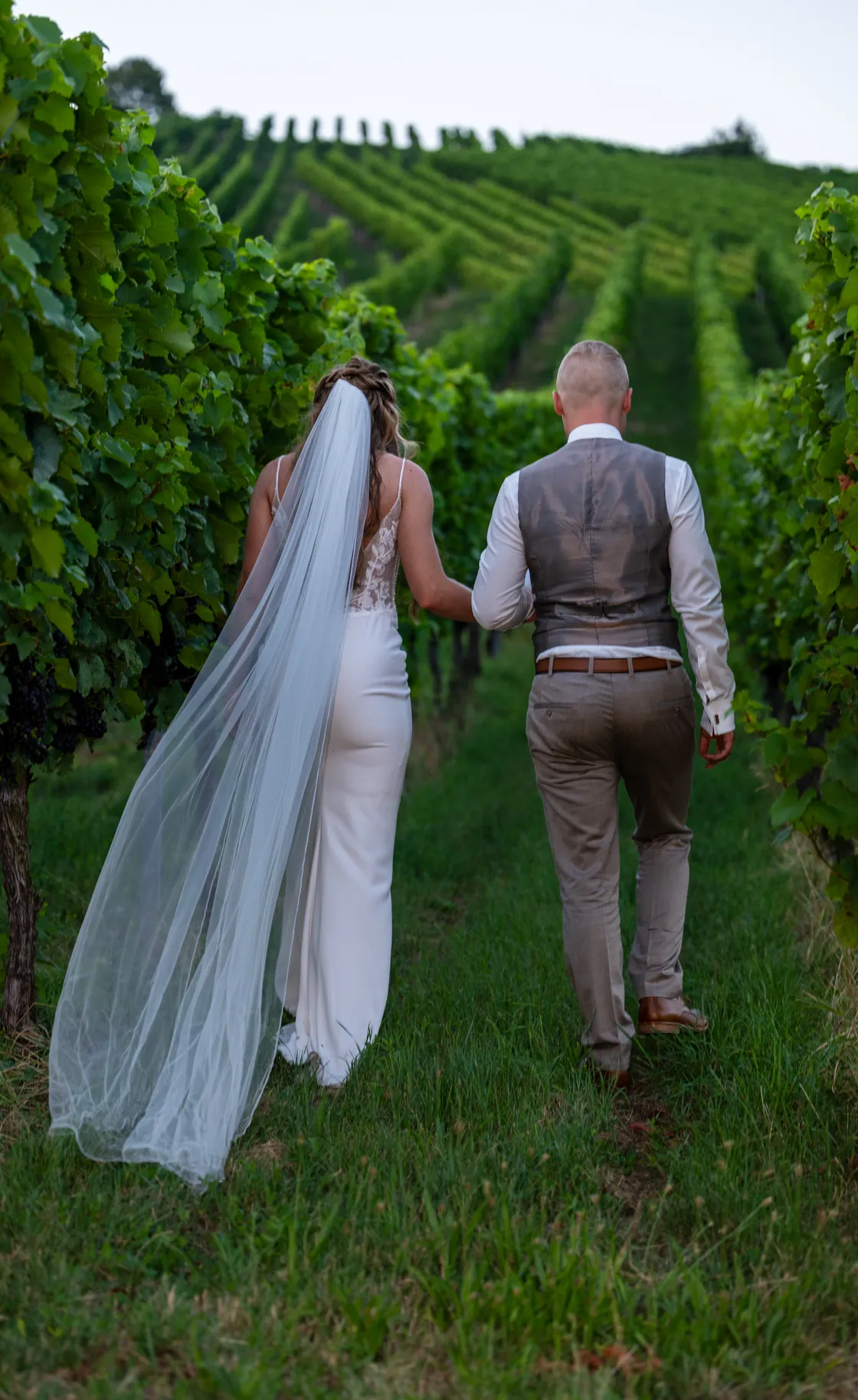 cover for Eine traumhafte Hochzeit