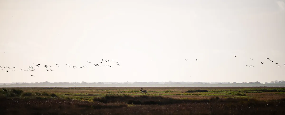 Hochzeitsfotografie von Tobias Tschaut